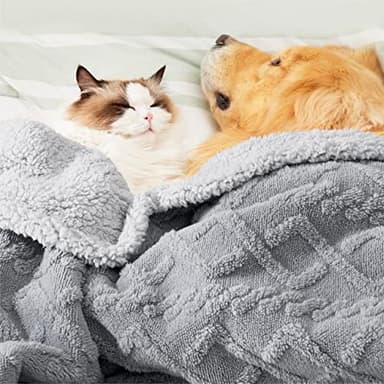 Bedsure Waterproof Dog Blankets for Bed - Pet Blanket for Bed Couch Protector Washable, Premium Jacquard Coral Fleece Cat Throw Blanket, Soft Plush Reversible Furniture Protection, King, 86x108, Grey - Image 4