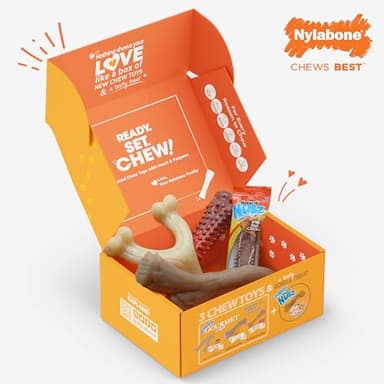 Nylabone Dog Gift Box, Includes 3 Strong Chew Toys and 1 Natural Treat, Gifts for Dogs, Large - Up to 50 lbs, 4 Pack - Image 7