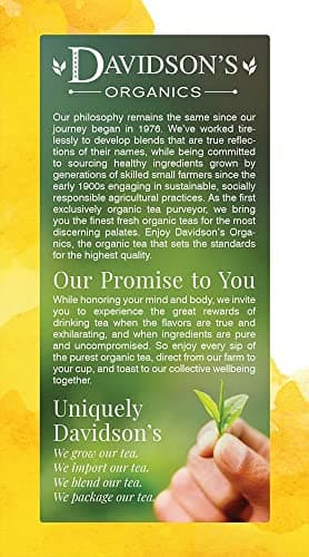 Davidson's Organics, Ayurvedic Infusions, Energize, 25-count Tea Bags, Pack of 6 - Image 2