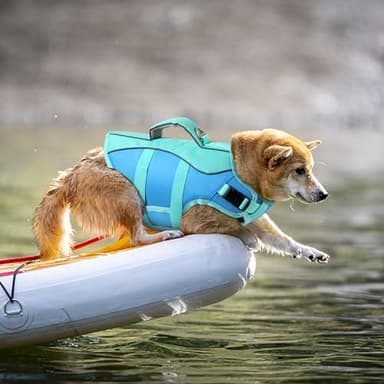 Petglad Dog Life Jacket, Reflective Dog Harness Life Vest with Rescue Handle for Swimming Boating, Adjustable High Buoyancy Flotation Swim Vest for Small Meium Large Dogs - Blue, S - Image 4