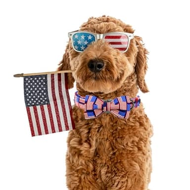 Elegant little tail Independence Dog Collar, Holiday Pet Collar with Bow Dog Durable Patriotic Dog Collars Pet Gift Adjustable Dog Collar for Large Dogs - Image 6