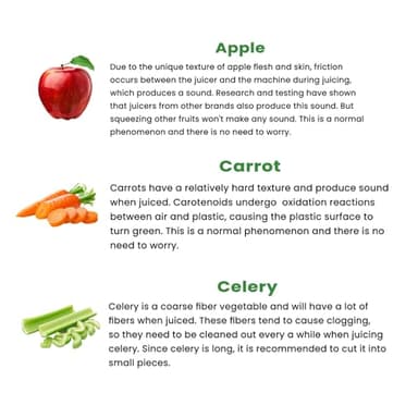 Cold Press Juicer, 6.5" Extra Large Feed Chute Juicer Machines, 350W Slow Masticating Juicer Machines with High Juice Yield for Whole Vegetables & Fruits, BPA Free, Titanium Gray, Easy to Clean - Image 9