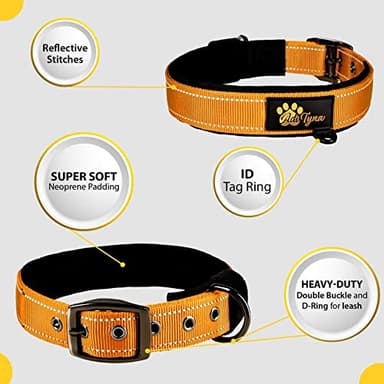 ADITYNA Dog Collars for XSmall Dogs - Padded Ultra Comfortable Soft Neoprene, Reflective, Heavy Duty - Orange Extra-Small Collar - Image 3