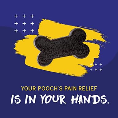 PupGrade Joint Support Supplement for Dogs - Natural Glucosamine Chondroitin with MSM - Hip & Joint Pain Relief - Recommended for Hip Dysplasia, Arthritis & Joint Disease - USA Tested - 60 Chews - Image 4