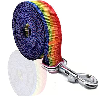 Nylon Dog Leash 4 Ft 5 Feet 6 Foot Long, Walking Training Dog Leashes for Medium Large Dogs, 1 Inch Wide (1" X 5 ft, Rainbow) - Image 2