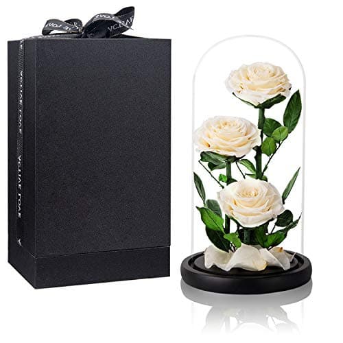 White Roses Handmade Preserved Rose in Glass Dome, Preserved Flowers Never Withered, Birthday Gifts for Women (13 inch) - Image 1