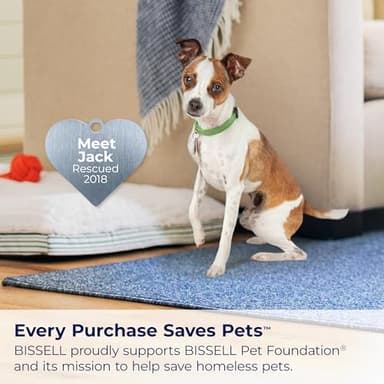 BISSELL® Little Green® Max Pet Portable Carpet and Upholstery Deep Cleaner, Car/Auto Detailer, with Self-Cleaning Tough Stain Tool and Pet Hair Removal Tool (3860) - Image 8