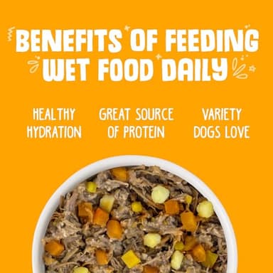 Weruva Classic Dog Food, Variety Pack, Baron's Batch, Wet Dog Food, 14oz Cans (Pack of 12), Multi - Image 6