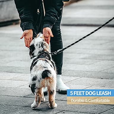 BAAPET 2/4/5/6 FT Dog Leash with Comfortable Padded Handle and Highly Reflective Threads for Small Medium and Large Dogs (5FT-1/2'', Black) - Image 5