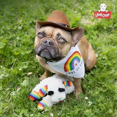 Multipet Lamb Chop Dog Plush Toy - Squeaky Dog Toy for Small & Medium Dogs - Extra Soft Plush Dog Toy - Stuffed Animal Dog Toy for Cuddling & Playing - Cute Pet Toy (10", Cream, 5 Squeakers) - Image 9