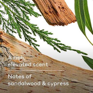 Harry's Men's Body Wash - Wildlands - 30 fl oz - Shower Gel for Men - No Parabens, Sulfates, or Dyes - Image 6