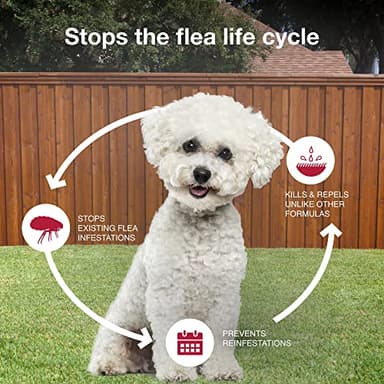 K9 Advantix II Small Dog Vet-Recommended Flea, Tick & Mosquito Treatment & Prevention | Dogs 4-10 lbs. | 4-Mo Supply - Image 7