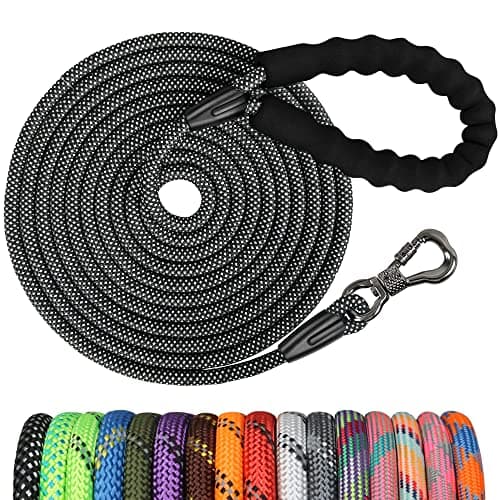 NTR Long Dog Leash, 20FT Check Cord with Swivel Lockable Hook and Comfortable Padded Handle for Reflective Dog Leash for Small Medium and Large Dogs Walking Training Hiking Camping Playing - Image 1