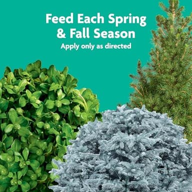 Miracle-Gro Tree and Shrub Plant Food Spikes, For Deciduous, Flowering and Evergreen Trees, Hydrangeas, and Acid-Loving Plants, 12 Spikes - Image 8