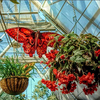 14 inch Coco Liner for planters, 2PCS Round Replacement Plant Basket Liners Coco Fiber Liner for Hanging Basket (14 inch Round) - Image 2