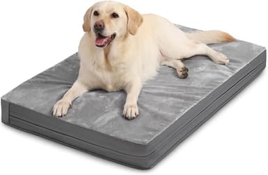 Waterproof XL Dog Beds Large Sized Dog, Outdoor Orthopedic Washable Crate Pad 42 inch, Extra Large Foam Pet Bed with Durable Removable Cover Reversible, XLarge Anti-Slip Kennel Pads, 41"x27", Gray - Image 1