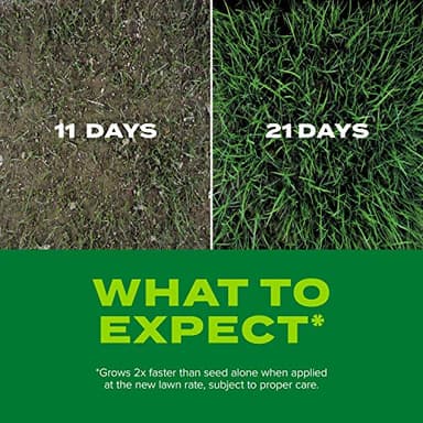 Scotts Turf Builder Rapid Grass Tall Fescue Mix, Combination Seed and Fertilizer, Grows Green Grass in Just Weeks, 5.6 lbs. - Image 6