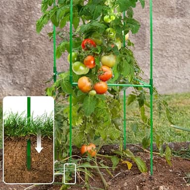 warmfarm Pack 2 Tomato Trellis Plant Stand Made by Fiberglass Pole,47 Inches Heavy Duty Tomato Cages for Garden,Reusable Plant Support for Vegetable Garden, Vegetables, and Flowers - Image 6