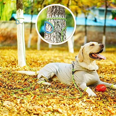 NTR Long Leash for Dog Training, 50FT Rope Lead with with 2 Swivel Hooks and Comfortable Padded Handle for Dog Leash for Small Medium and Large Dogs Walking Training Hiking Camping Playing - Image 6