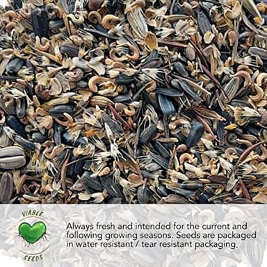 Seed Needs Sunflower Seeds to Plant Sunset Blend 7 Varieties Mix | 750+ Seeds Helianthus Annuus Heirloom Open Pollinated Bulk Flower Seed | Multicolored Sun Flowers Garden Favorite - Image 5