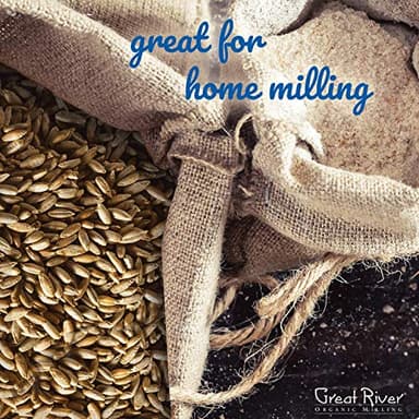 Great River Organic Milling, Whole Grain, Rye Grain, Organic, 50-Pounds (Pack of 1) - Image 5