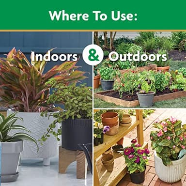 Miracle-Gro Water Soluble All Purpose Plant Food, Fertilizer for Indoor or Outdoor Flowers, Vegetables or Trees, 3 lbs. - Image 5