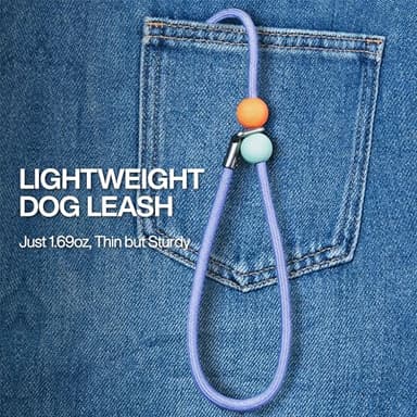 Slip Lead Dog Leash with Stopper, No-Pull Training Leash and Collar for Small Medium Dogs 5 FT - Image 3
