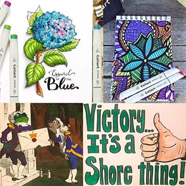 Caliart Alcohol Markers, 81 Colors Fine & Chisel Dual Tip Colored Markers for Adults Coloring Books Artists Illustration Sketch, Permanent Art Pen Set Drawing Supplies Gift - Image 8