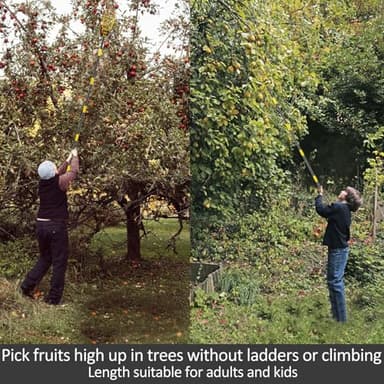 Extendable Fruit Picker with Basket - 5ft Telescopic Pole for Picking High Fruit Trees - Image 4