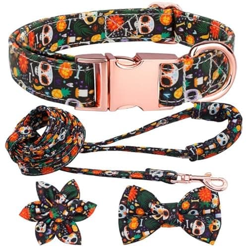 Hilkycton Dog Collar and Leash Set with Flower Bow Tie Girls Dog Collar Metal Buckle Adjustable for Small Medium Large Dogs Skull Skeleton-M - Image 1