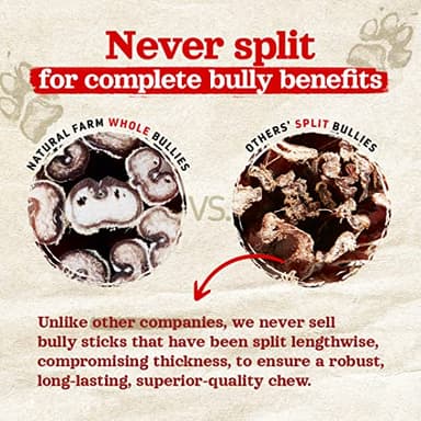 Natural Farm Odor-Free Bully Sticks (6 Inch, 20 Pack), 100% Beef Chews for Pups, Small and Medium Dogs, Non-GMO, Grain-Free, Fully Digestible, Natural Treats to Keep Your Dog Busy - Image 4