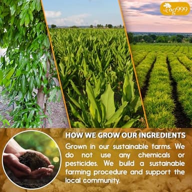 TOG999, Premium 20 Tea Bags Turmeric, Ginger, Cinnamon, 100% Natural, Hand-made Blend of Turmeric, Ginger, and Cinnamon Herbal Tea. Eco-conscious Tea Bags. No Sugar, No Caffeine, No Gluten, Vegan. - Image 5