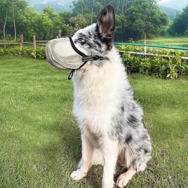 Diketone Large Dog Muzzle, Muzzle for Large Dogs to Prevent Eating/Chewing/Biting, Breathable Reflective Adjustable Medium Dog Accessories - Image 7