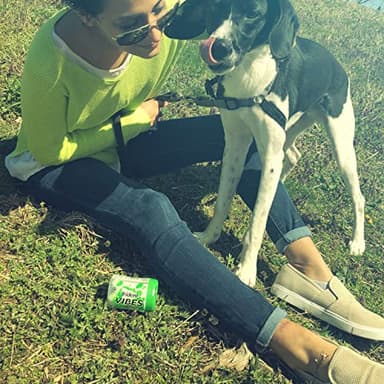 Trident Vibes Spearmint Rush Sugar-Free Chewing Gum, 4 Bottles of 40 Pieces (160 Total Pieces) - Image 7