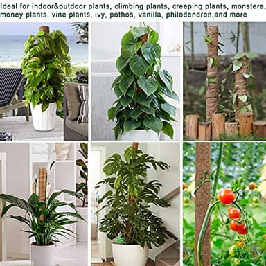 Fabulas Moss Pole 47.5 Inch - Monstera Plant Support, 4 Packs 16 Inch Plant Stakes for Indoor Plants Coco Coir Moss Pole Sticks for Climbing Potted Live Plants, Pothos, Philodendron, with Garden Ties - Image 6