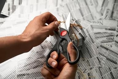ZWILLING Twin Original Multi-Purpose Shears, Silver/Black - Image 5