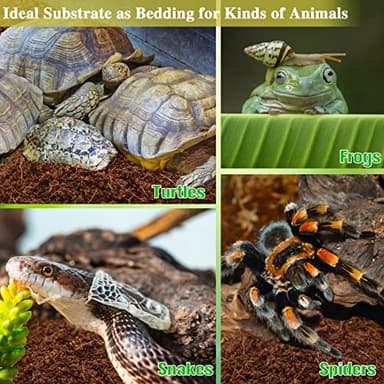 ZeeDix 2 Pack Coconut Fiber Substrate, 100% Organic Coconut Husk Coco Coir Brick Terrarium Bedding for Reptiles, Tortoise, Bearded Dragon, Leopard Gecko, Snake, Hermit Crabs, Frogs, Tarantula - Image 5