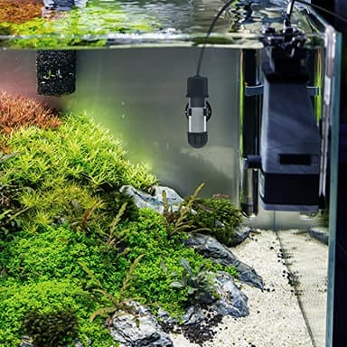 hygger Small Aquarium Betta Heater, Submersible Fish Tank Heater 10W/25W/50W/100W with LED Digital Display, Suitable for Marine Saltwater and Freshwater up to 5/10/16/26 Gallon - Image 7