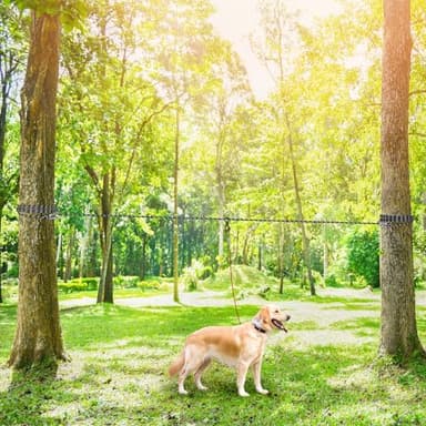XiaZ Dog Camping Leash, 50ft Portable Overhead Trolley System for Dogs up to 200lbs, Dog Tie Out Cable, Camping, Parks, Outdoor Events,5 min Set-up,Black - Image 6