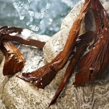 Dolce & Gabbana Light Blue, Eau De Toilette Spray, For Women - 200 ml / 6.7 fl.oz - Image 6