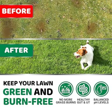 YUMA'S Dog Urine Neutralizer for Lawn - 170 Chews - Advanced Grass Green Savers for Dog Urine - Canine Pee Grass Neutralizer Supplement - Green Lawn Treats with Probiotics and Digestive Enzymes - Image 2