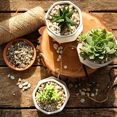 River Rocks Stones Natural Decorative Mixed Color Pebbles Fish Tank Gravel Small Garden Rocks Soil Cover for Aquariums, Landscaping, Vase Fillers, Succulent, Tillandsia, Cactus, Terrarium Plants 2.2lb - Image 6
