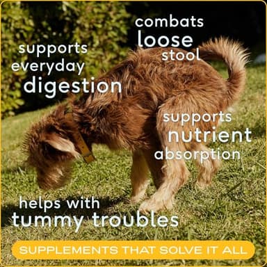Native Pet Pumpkin for Dogs - Organic Powder Pumpkin Puree Dog Food Toppers -Rich in Fiber Supplement Powder Helps with Digestion, Nutrient Absorption, Diarrhea, Constipation & Upset Stomach-30 Scoops - Image 2