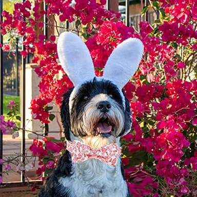 Easter Dog Collar - Pink Bunny Dog Collar Bows for Dogs Bowtie Pet Collar Adjustable Dog Collar Girl Boy Dog Collar for X-Small Dogs - Image 5