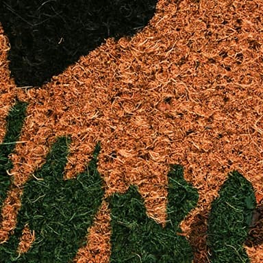 DII Animal Collection Natural Coir Doormat, 17x29, Bear Country - Image 4