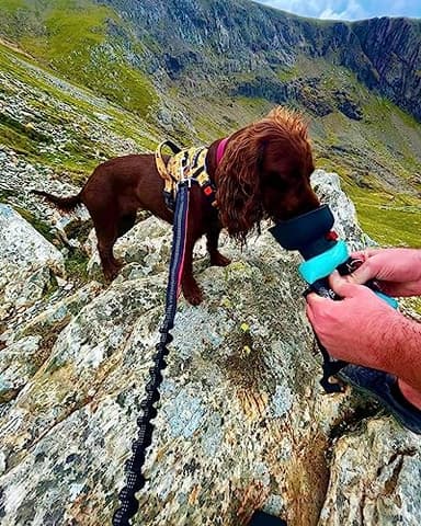 Lesotc Dog Water Bottle, Portable Water Dispenser with Bowl, Leak Proof Pet Travel Squeeze Bottle, Puppy Essentials Dog Stuff Accessories for Outdoor Walking, Hiking, Camping - Image 7