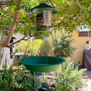 Hanging Bird Feeder Tray with Drainage Holes for Outside, Rugged Recycled Plastic Wild Bird Feeding Station (10 inch, Green) - Image 2