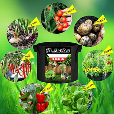 LUNGAR Plant Grow Bags - 10 Gallon 10 Packs Planter Pot, Thickest Aeration 300G Non-Woven Fabric, Reinforced Handles for Weatherproof Nursery Pot, Enhanced Double Seam - Image 5