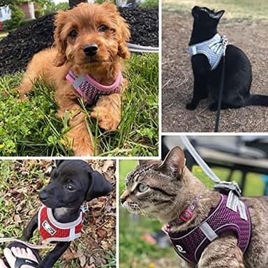 Dog and Cat Universal Harness with Leash - Cat Harness Escape Proof - Adjustable Reflective Step in Dog Harness for Small Dogs Medium Dogs - Soft Mesh Comfort Fit No Pull No Choke, Pink, L - Image 6