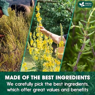 FreshDrinkUS StrongerLungs 20 Tea Bags - Mullein Leaf, Ginseng, Elderberry, Ginger & Thyme - Supports Lung Cleanse, Congestion Relief & Mucus Detox - Caffeine-Free & All-Natural - Image 5